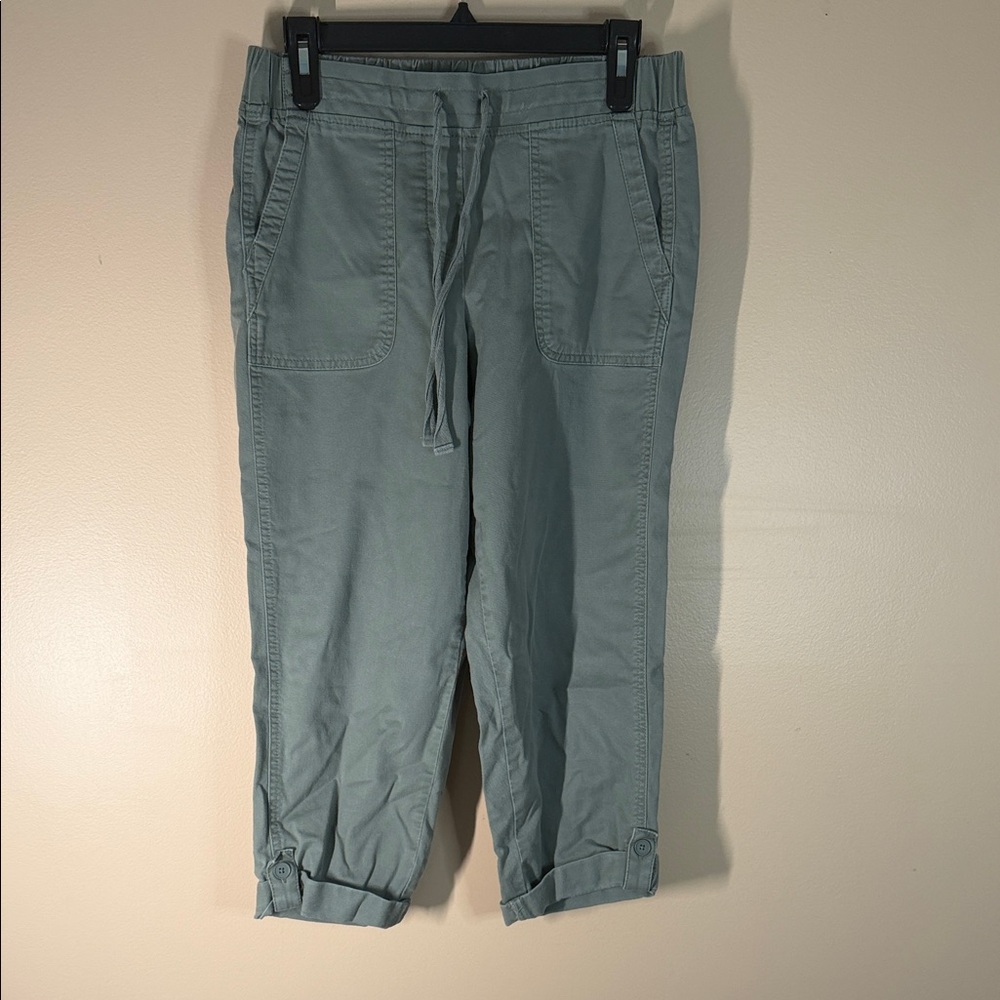 Talbots Men's Drawstring Crop Pants in Sage Green